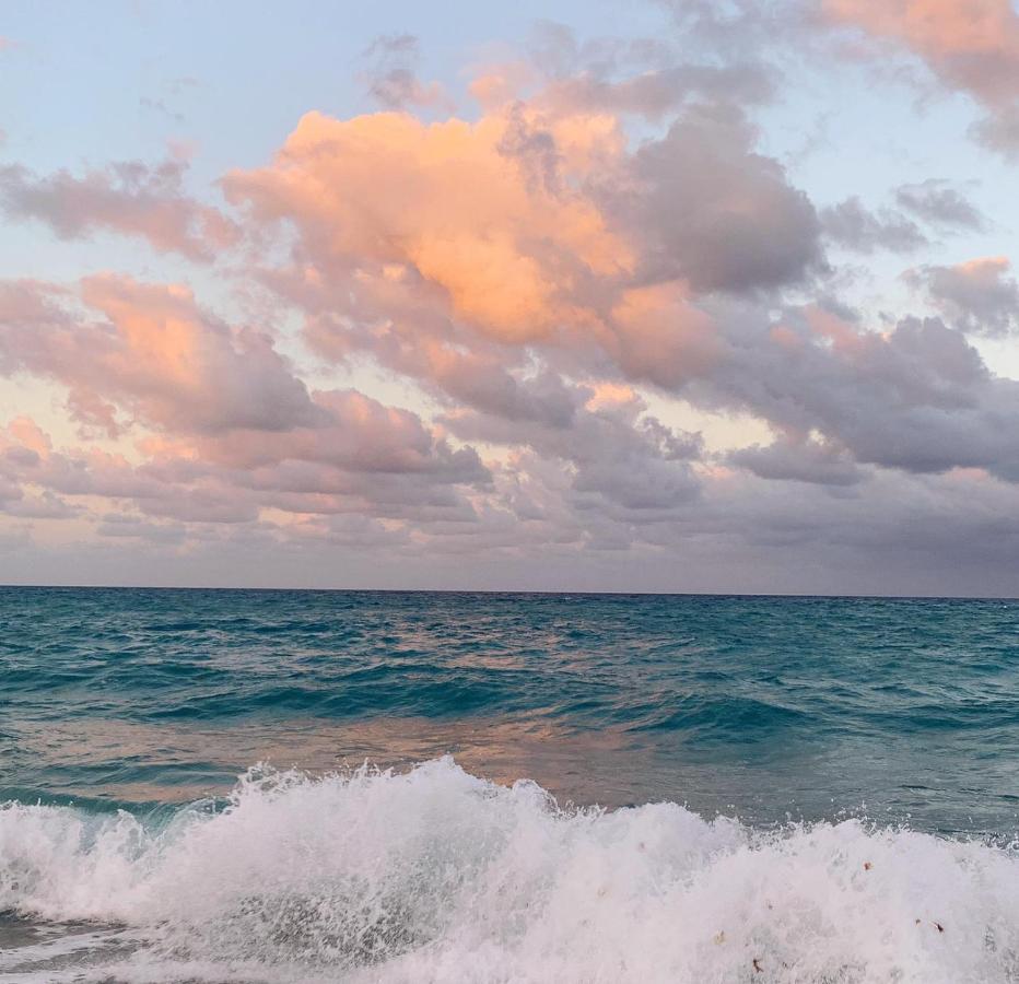 Palm Beach Island Condominiums Zewnętrze zdjęcie