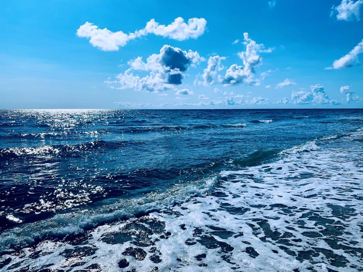Palm Beach Island Condominiums Zewnętrze zdjęcie